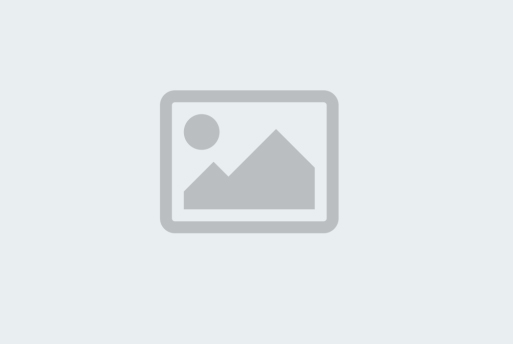 宇鈞精密彈簧有限公司-小蜜蜂彈簧圖片